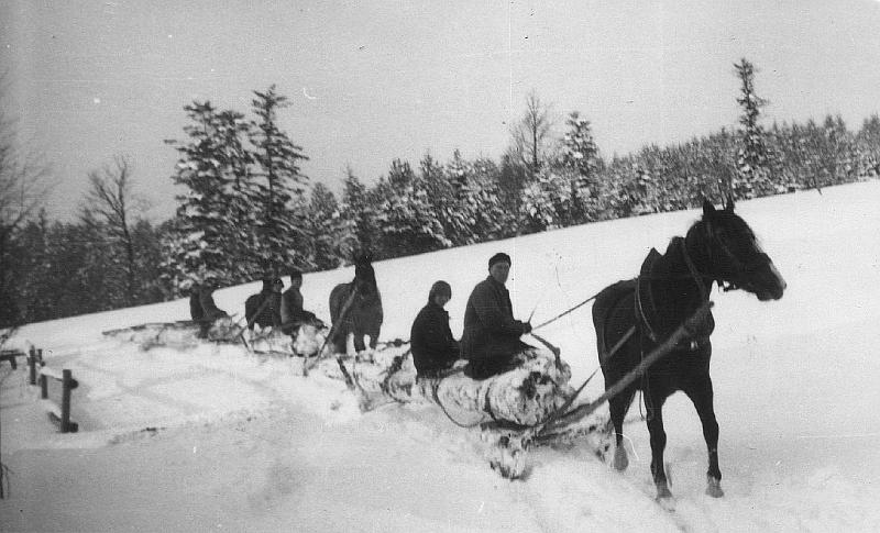 parafia polskokatolicka 1_26.jpg - Rok 1972. Ścinka i zwózka drzewa na budowę wieży kościelnej